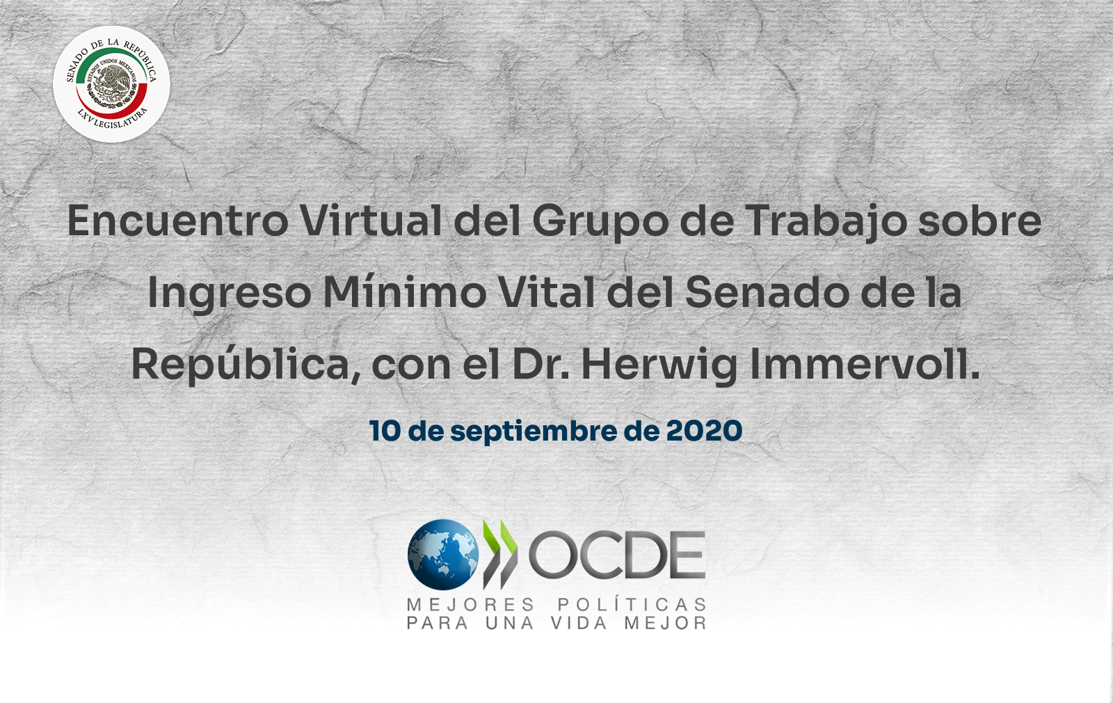 Encuentro Virtual del Grupo de Trabajo sobre Ingreso Mínimo Vital del Senado de la República, con el Dr. Herwig Immervoll. 10 de septiembre de 2020