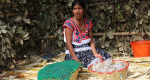 “Estamos al margen”. Vida y trabajo de mujeres guatemaltecas en la frontera sur de México