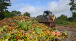 Pérdida y desperdicio de alimentos