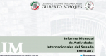 Informe Mensual de la Actividad Internacional del Senado - Enero 2017