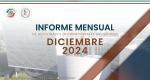 Informe Mensual de la Actividad Internacional del Senado - diciembre 2024