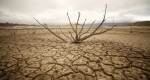 Los derechos climáticos como categoría de derechos humanos 