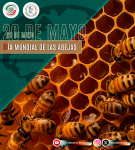 20 de mayo  -  Día Mundial de las Abejas
