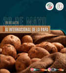 30 de mayo - Día Internacional de la Papa