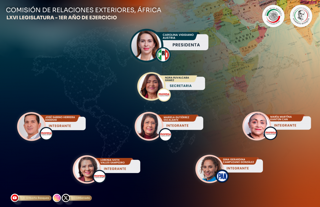 Comisión de Relaciones Exteriores, África