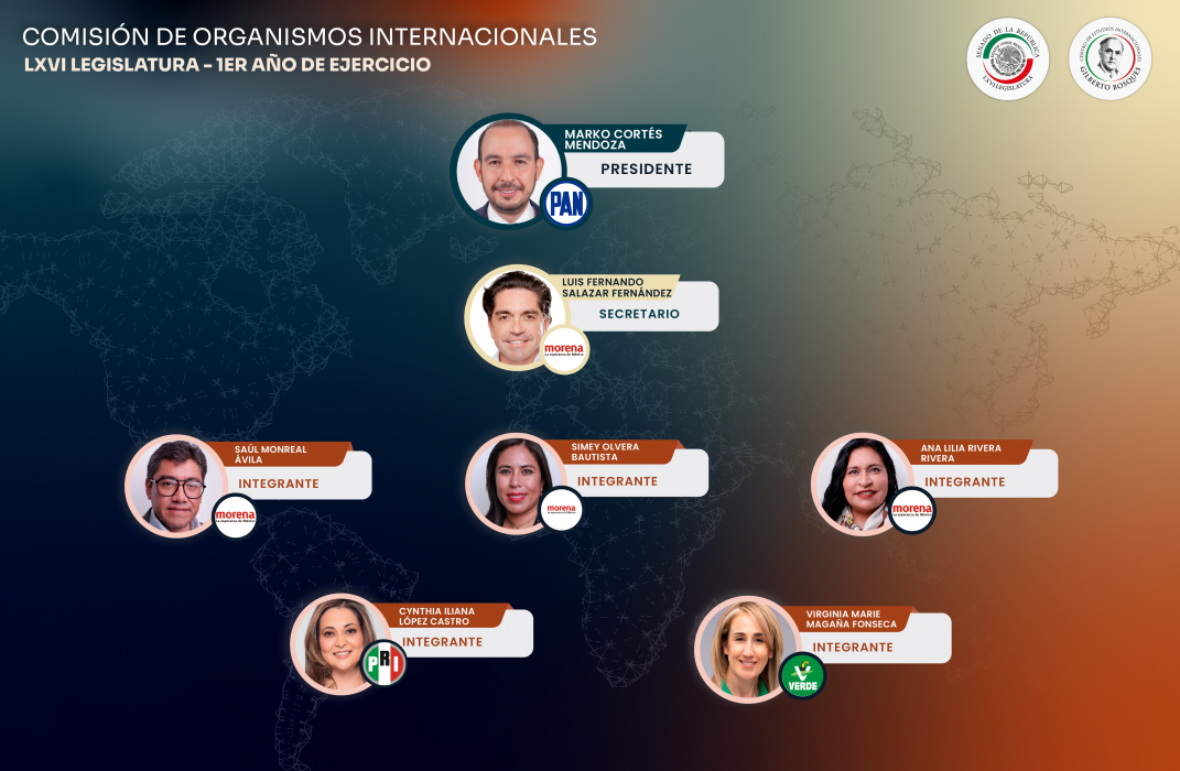 Comisión de Organismos Internacionales